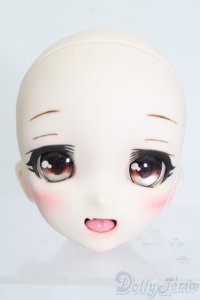DDH-010カスタムヘッド S-25-05-11-577-GN-ZS