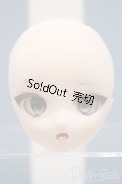 画像1: 【新宿マルイアネックス店 店頭販売商品】DDH-28/カスタムヘッド　2100150000001850-ZM