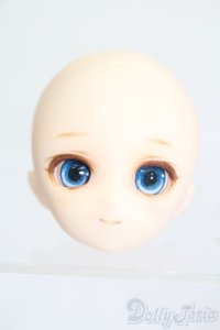 PARABOX/CHARA手描き彩色ヘッド S-25-04-13-511-GN-ZS