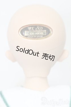 画像5: SDM女の子/コーディネートモデルF-60 S-25-01-26-007-GN-ZS