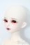 画像2: Myoudoll/Dietrich S-25-03-30-466-GN-ZS (2)