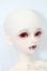 画像3: Myoudoll/Dietrich S-25-03-30-466-GN-ZS