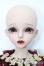 画像2: Myoudoll/Dietrich S-25-03-30-467-GN-ZS (2)