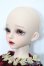 画像3: Myoudoll/Dietrich S-25-03-30-467-GN-ZS
