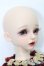 画像4: Myoudoll/Dietrich S-25-03-30-467-GN-ZS