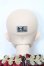 画像5: Myoudoll/Dietrich S-25-03-30-467-GN-ZS