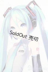 DD/初音ミク S-25-01-12-156-GN-ZS