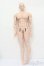 画像5: TelesthesiaDoll/辰? S-25-03-09-432-GN-ZS