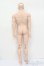 画像6: TelesthesiaDoll/辰? S-25-03-09-432-GN-ZS