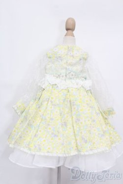 画像3: SDM&MSD/OF:CHARME(シャルム)様製ドレス S-25-09-14-430-GN-ZS