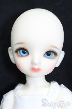 画像3: 【DOLK×BJD CROBI】White Cat Tori Girl -Limited- S-25-09-28-450-GN-ZS