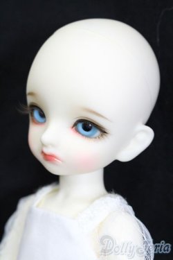 画像4: 【DOLK×BJD CROBI】White Cat Tori Girl -Limited- S-25-09-28-450-GN-ZS