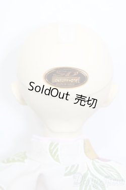 画像6: SD13女の子/シンディ:ワンオフモデル Yui様メイク S-25-01-19-154-GN-ZS