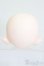 画像4: PUYOODOLL/POCKET KUMAKO S-25-04-20-515-GN-ZS (4)