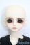 画像1: LUTS/Kid Delf BORY S-25-02-23-370-GN-ZS (1)