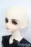 画像2: LUTS/Kid Delf BORY S-25-02-23-370-GN-ZS (2)