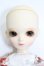 画像3: BlueFairy/TinyFairy:サラン S-25-02-23-369-GN-ZS