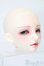 画像3: LUTS/Senior65 Delf BLACK S-25-03-30-480-GN-ZS