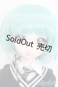 DD/DDH-09カスタムドール S-25-02-23-160-GN-ZS