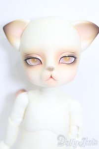 LUTS/Zuzu Delf ROMANCE LIO INCUBUS Limited S-25-06-01-697-GN-ZS