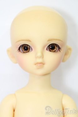 画像1: 幼SDシン S-25-04-06-440-YB-ZS