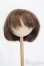 画像1: 9-10inch/ウィッグ S-25-03-04-319-YB-ZS (1)