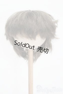 画像1: 8.5-9inch/ウィッグ S-25-12-14-306-GN-ZS