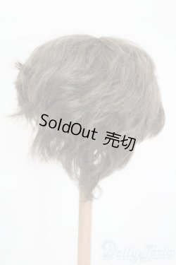 画像2: 8.5-9inch/ウィッグ S-25-12-14-306-GN-ZS