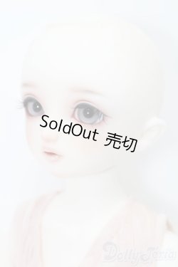 画像4: SDM女の子/ちよ:10周年記念Ver. S-25-02-02-151-GN-ZS