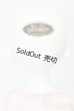 画像6: SDM女の子/ちよ:10周年記念Ver. S-25-02-02-151-GN-ZS