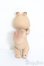 画像5: KUMUKUKU/Cha cha S-25-04-13-581-GN-ZS