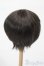 画像2: 9-10inch/ウィッグ S-25-03-23-376-GN-ZS (2)