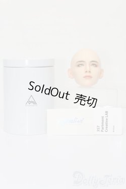 画像5: 357partment/V S-25-02-16-169-GN-ZS