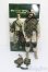 画像6: DRAGON/STRYKER BRIGADE COMBAT TEAM 3rd BRIGADE 2nd INFANTRY DIVISION Ralph S-25-04-06-497-GN-ZS