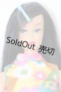 マテルバービー/復刻版バービー カラーマジック Color Magic S-25-06-15-158-GN-ZS