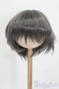 8-9inch/ウィッグ S-25-05-11-190-GN-ZS