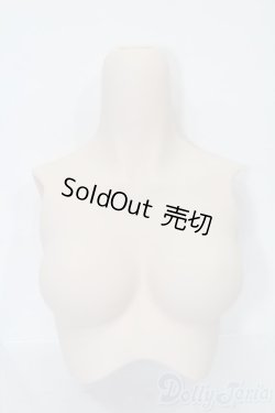 画像1: DDS/上半身パーツ S-25-06-29-769-GN-ZS