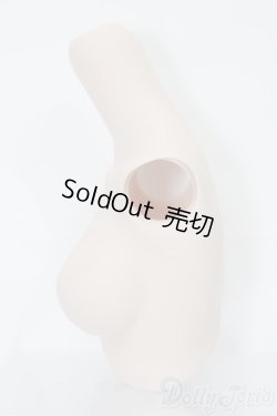 画像2: DD/上半身パーツ S-25-10-05-348-GN-ZS