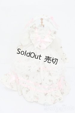 画像1: SDM＆MSD/OF:衣装セット S-25-06-22-484-GN-ZS