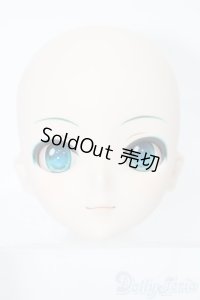 DD/初音ミク ヘッド S-25-02-23-189-GN-ZS