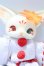 画像1: DOLK×DearMine/Maple LINCOLN bean ~10th Anniversary OSAKA~B type Makeup S-26-10-25-020-GN-ZS (1)