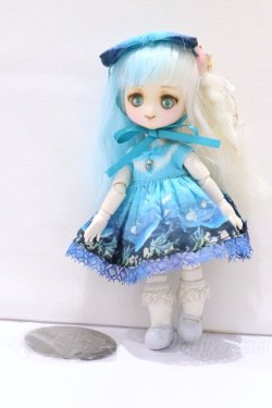 画像8: ミニスウィーツドール/カスタムドール S-25-12-21-008-GN-ZS