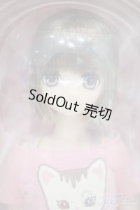 【新宿マルイアネックス店 店頭販売商品】azone/アビシニアン マヤ 通常販売ver. 2100150000006794-ZM