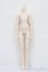 画像1: MDD/ベースボディ(DD-f3) S-25-03-09-006-GN-ZS (1)