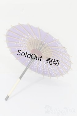 画像2: SD/OF:小物 S-25-03-30-028-GN-ZS