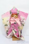 DD/OF:着物セット S-25-04-20-593-GN-ZS