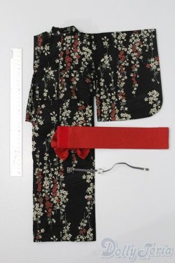 画像6: SD16/OF:Baroque様製着物 S-25-11-02-465-GN-ZS