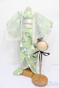 DD/OF:着物 S-25-05-04-388-GN-ZS