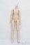 画像1: MDD/ベースボディ(DD-f3) S-25-04-13-453-GN-ZS (1)