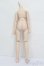画像2: MDD/ベースボディ(DD-f3) S-25-04-13-453-GN-ZS (2)